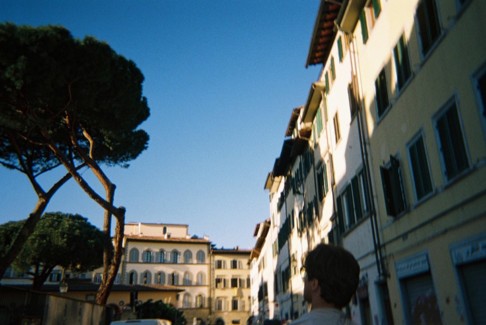 Friend of the house, photo 55